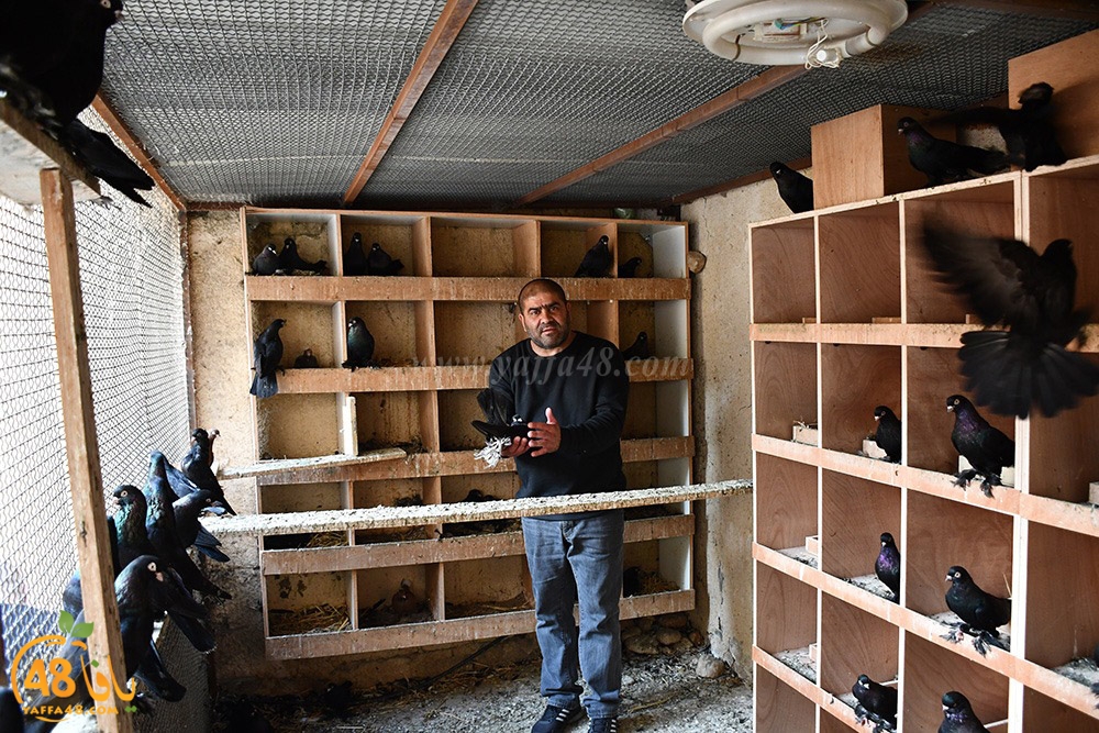 zohdi 3ashoor (122).jpeg